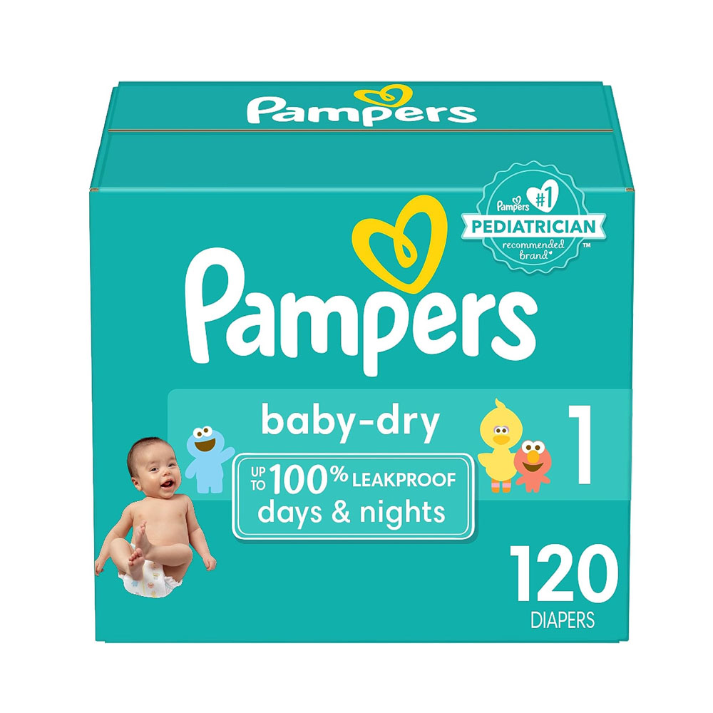 pamp1.jpg